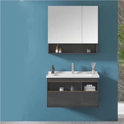 Phòng tắm Vanities Nội các lắp đặt thẳng đứng