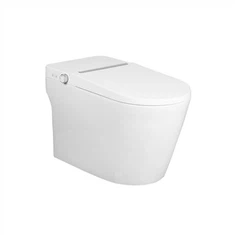 Nhà vệ sinh thông minh một mảnh